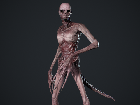 Monster 14 3D Model