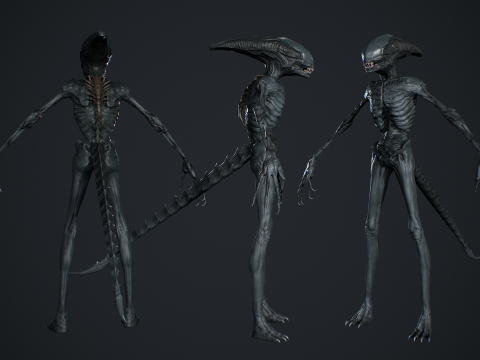 Monster 15 3D Модель