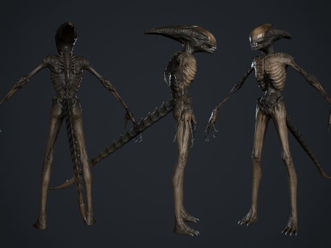Monster 15 3D Модель