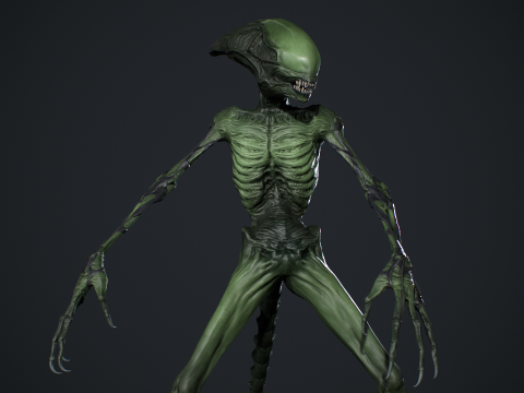 Monster 15 3D Модель
