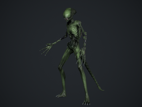 Monster 15 3D Модель