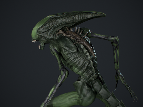 Monster 15 3D Модель