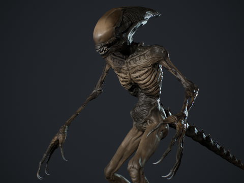 Monster 15 3D Модель