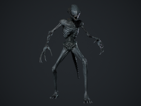Monster 15 3D Модель