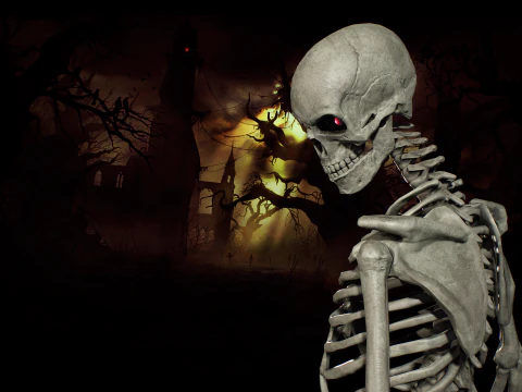Skeleton 01 3D Model