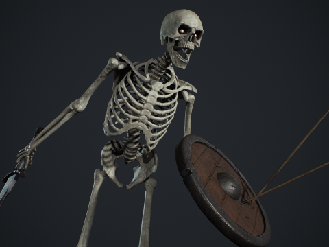 Skeleton 01 3Dモデル