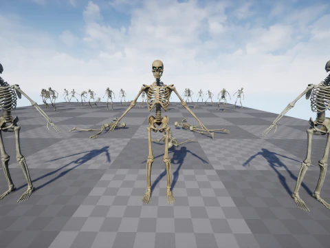 Skeleton 01 3D Model