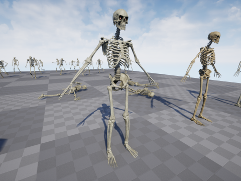Skeleton 01 3Dモデル