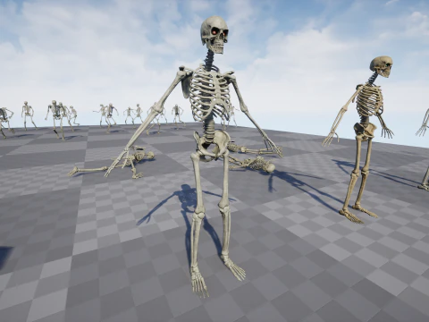 Skeleton 01 3D Model