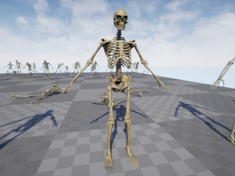 Skeleton 01 3D Model