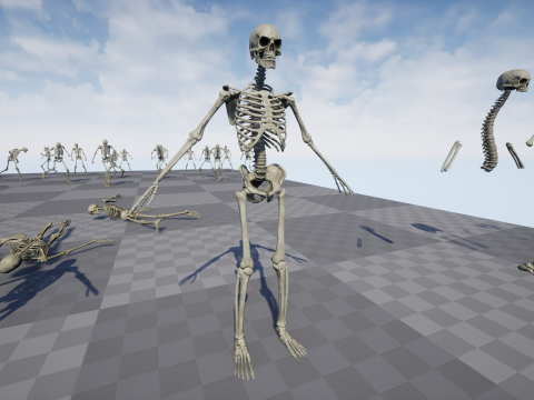 Skeleton 01 3Dモデル
