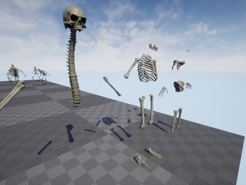 Skeleton 01 3Dモデル