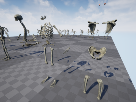 Skeleton 01 3Dモデル
