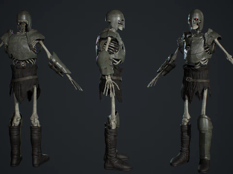 İskelet 02 3D Model