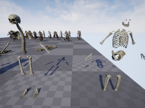 Skeleton 03 3D 모델