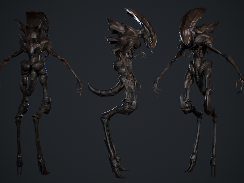 Monster Insect 3D मॉडल