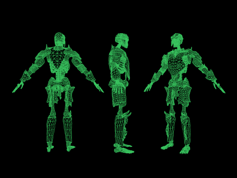 Skeleton 05 3D 모델