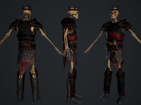 Skeleton 06 3D Model