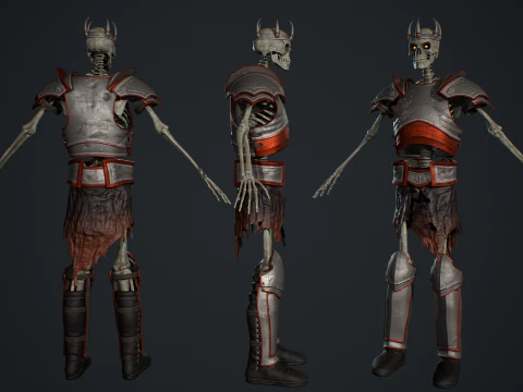 Skeleton 06 3D Model