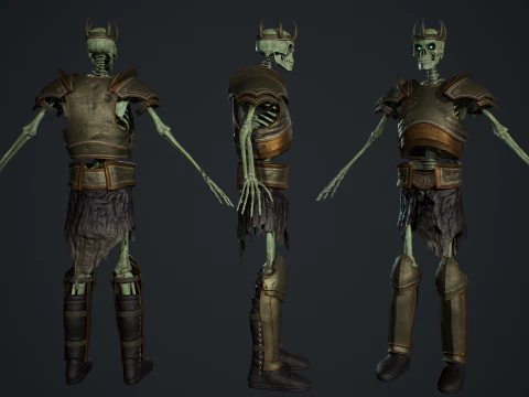 Skeleton 06 3D Model