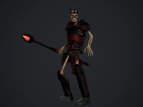 Skeleton 06 3D Model
