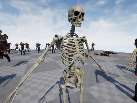 Skeleton 06 3D Model