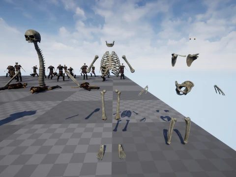 Skeleton 06 3D Model
