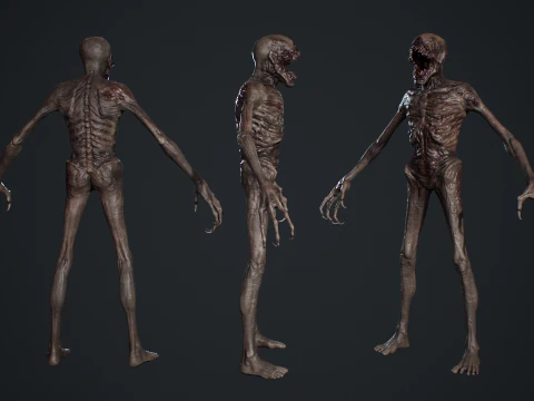 Mutant S1 3D Model