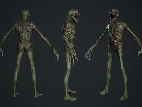 Mutant S1 3D Model