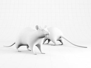 rat lowpoly 3D 模型