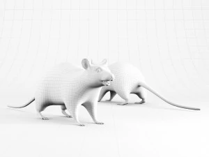 rat lowpoly 3D Model