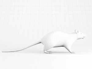 rat lowpoly 3D 模型