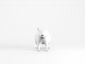 rat lowpoly 3D 模型