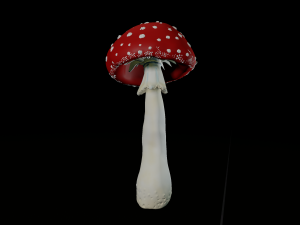 amanita mushrooms 3D Print Model