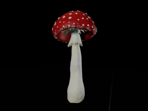amanita mushrooms 3D Print Model