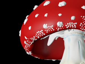 amanita mushrooms 3D Print Model