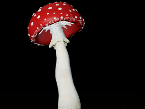 amanita mushrooms 3D Print Model