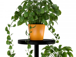 plant stand Modelo 3D