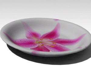 plate Model 3D