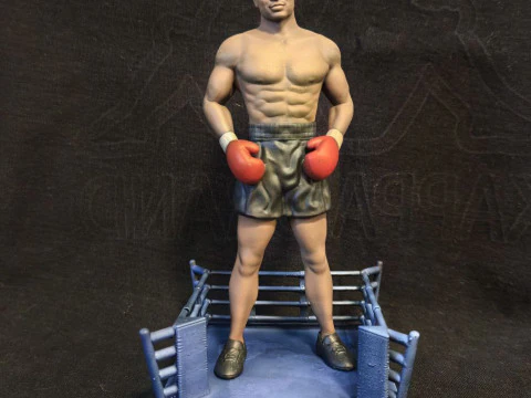 タイソン 3Dモデル