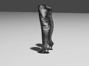 stivali di pelle femminili - scarpe da donna Modello 3D
