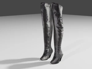 stivali di pelle femminili - scarpe da donna Modello 3D