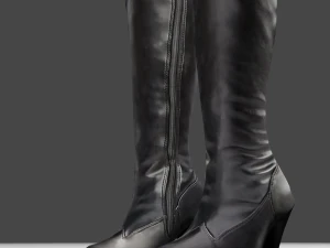 stivali di pelle femminili - scarpe da donna Modello 3D