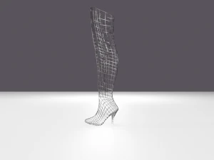 stivali di pelle femminili - scarpe da donna Modello 3D