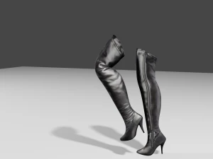 stivali di pelle femminili - scarpe da donna Modello 3D