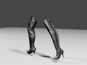 stivali di pelle femminili - scarpe da donna Modello 3D
