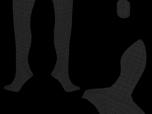 stivali di pelle femminili - scarpe da donna Modello 3D