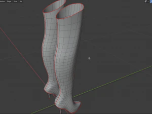 stivali di pelle femminili - scarpe da donna Modello 3D