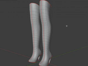 stivali di pelle femminili - scarpe da donna Modello 3D