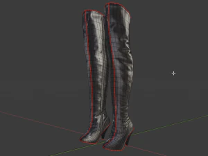 stivali di pelle femminili - scarpe da donna Modello 3D